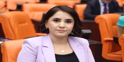 DEM Partili Nevroz Uysal Aslan, Beytüşşebap'taki Sağlık Sorunlarını TBMM Gündemine Taşıdı