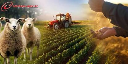 Silopi’de Çiftçiye Müjde: 2027 ÇKS Başvurularında O Şart Kaldırıldı