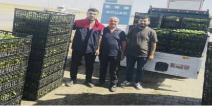Cizre’de Çiftçilere Yüzde 75 Hibeli Fide Desteği