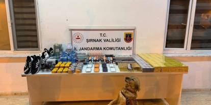 Şırnak’ta 196 şüpheli hakkında işlem yapıldı