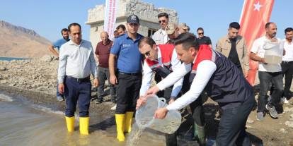Ilısu Baraj Gölü’ne 800 Bin Yavru Şabut Balığı Bırakıldı