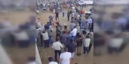 Diyarbakır’da hayvan pazarında ortalık savaş alanına döndü