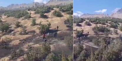 Şırnak’ta ormanlık alanda yangın: Müdahale ediliyor