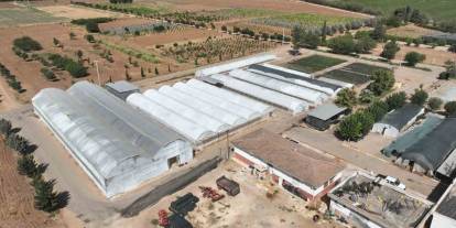 Şanlıurfa’da 500 Bin Mevsimlik Çiçek Üretilecek