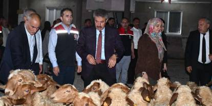 Şırnak'ta Üreticiye Destek: Kadın Çiftçiye 100 Küçükbaş Hayvan Desteği