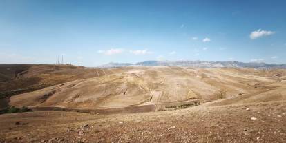 Silopi’de ağaçlandırma çalışmaları için inceleme yapıldı