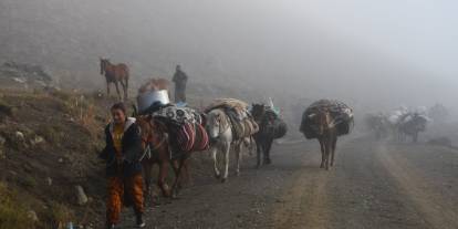 Soğuk Etkisini Gösterdi, Şırnak'ta Göçerler Yayladan Ayrılmaya Başladı
