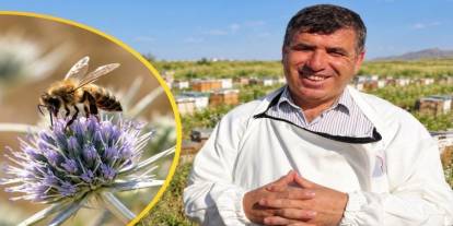 İdil’de Tusi Balı Satışa Çıktı: Bu Yıl 35 Ton Üretildi
