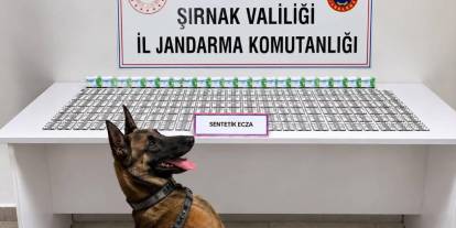 Şırnak’ta 1138 Sentetik Ecza Hapı Ele Geçirildi