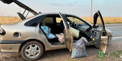 Şanlıurfa’da 4 Fıstık Hırsızı Suçüstü Yakalandı