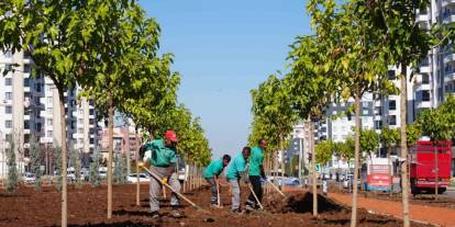 Diyarbakır’da Yeşil Bir Kent İçin 9 Bin Ağaç Ve 50 Bin Çalı Toprakla Buluştu