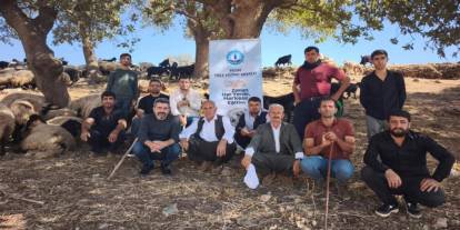Şırnak’ta Çobanlar İçin Eğitim Sürülerin Başında Veriliyor