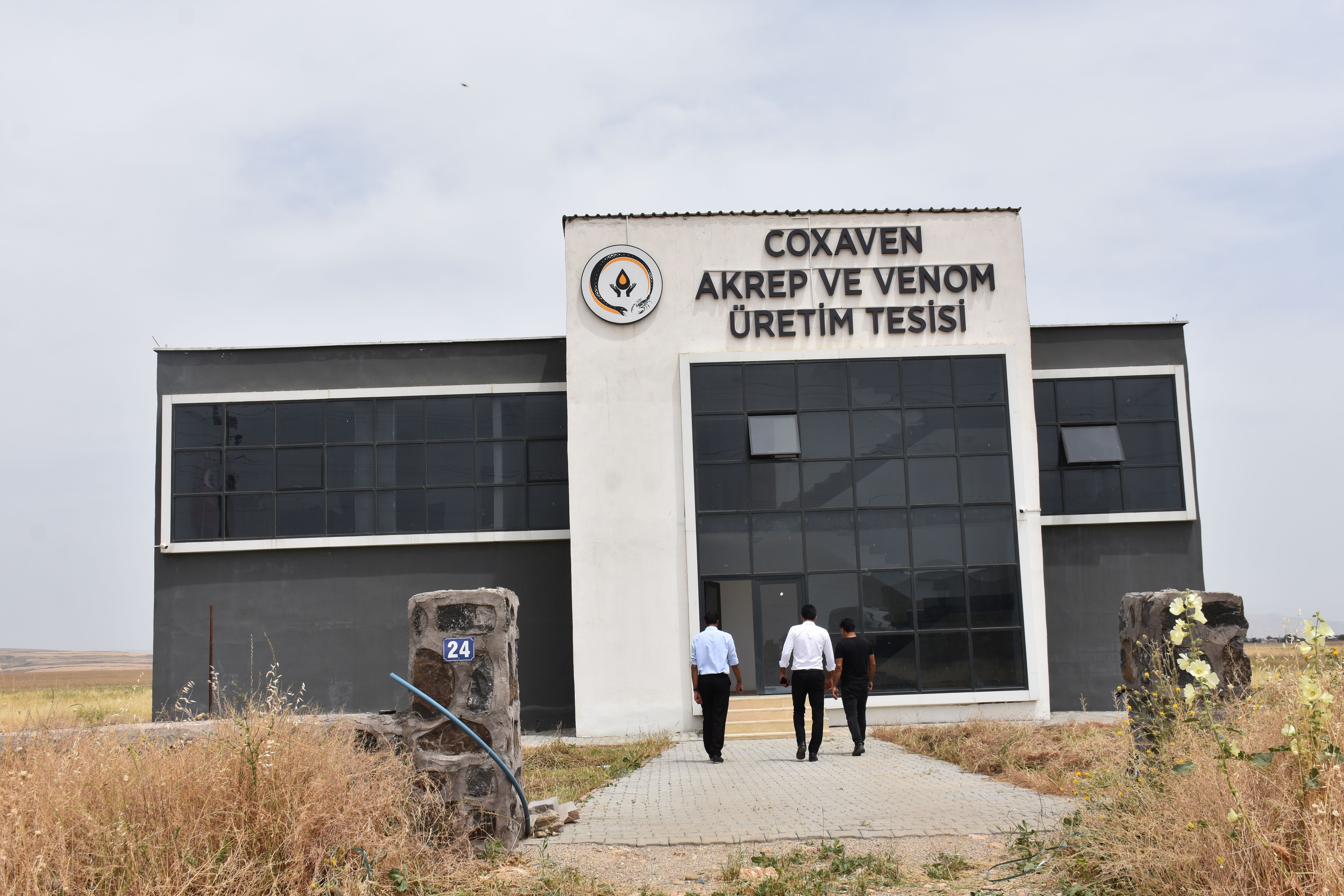 aa-20230709-31631582-31631570-sirnakli-girisimci-kurdugu-tesiste-yaklasik-3-bin-akrebin-bakimini-yapiyor.jpg