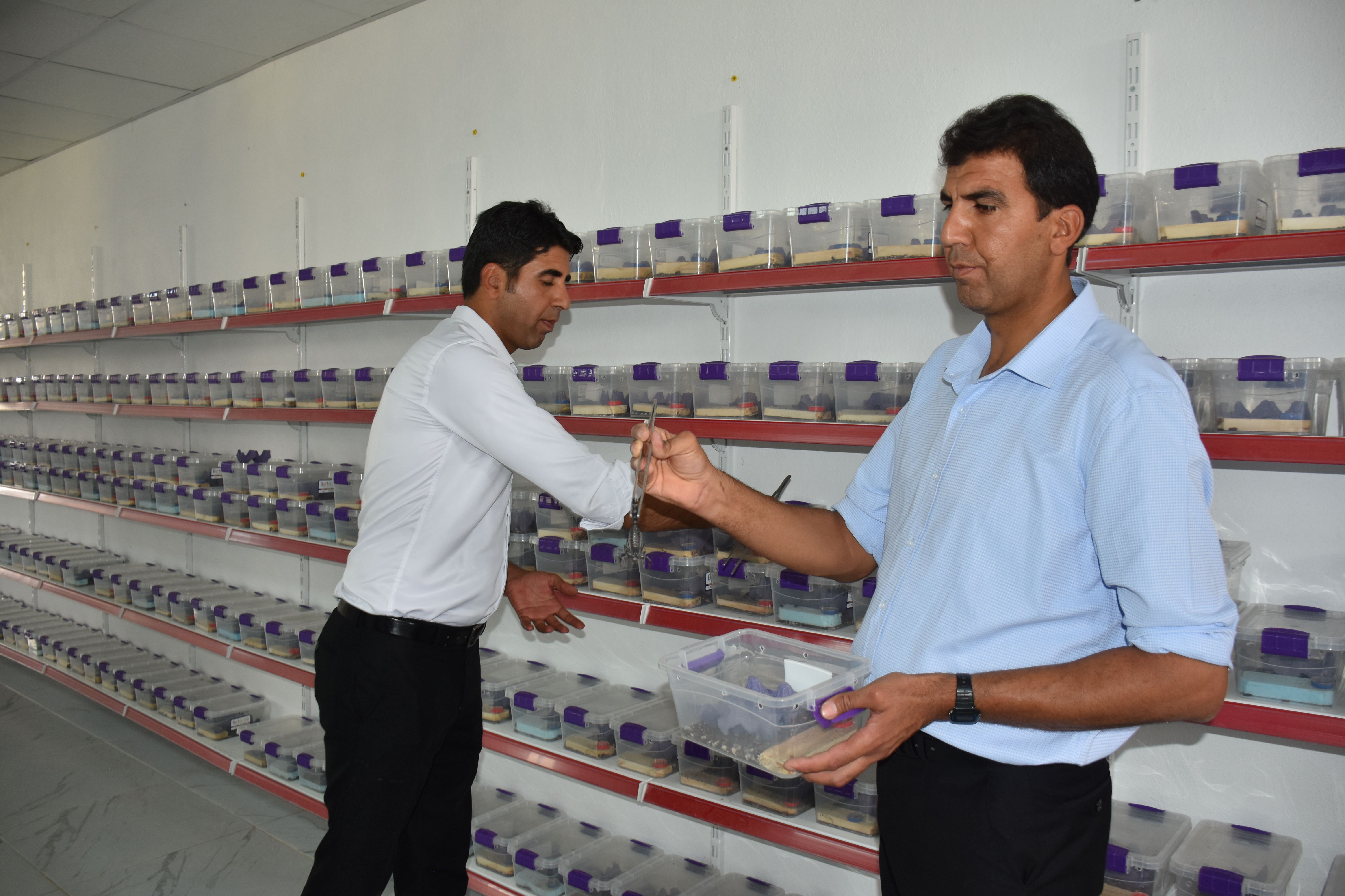 aa-20230709-31631582-31631576-sirnakli-girisimci-kurdugu-tesiste-yaklasik-3-bin-akrebin-bakimini-yapiyor.jpg