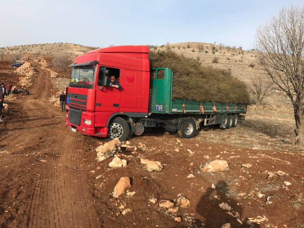 Mega Kent İstanbul’u Bırakan Çiftçi, Mardin’de Gül Ve Lavanta Ekimi Yapıyor