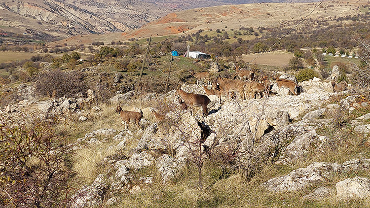 009-2023-001-2023-30-aralik-aa-3-1.jpg