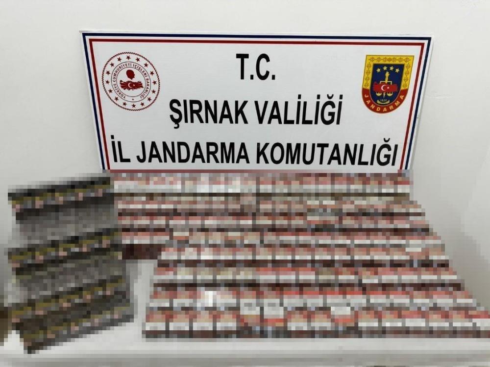 ullt.jpg