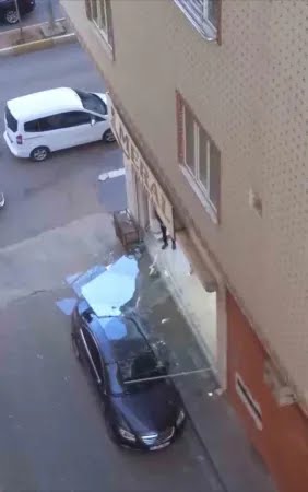 272482817-1734177726.jpeg