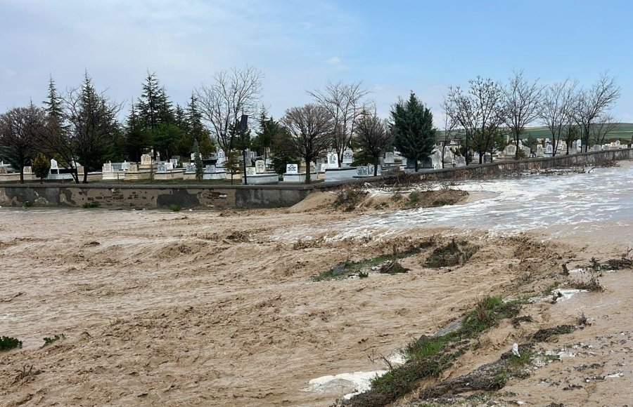 kny21525272785.jpg