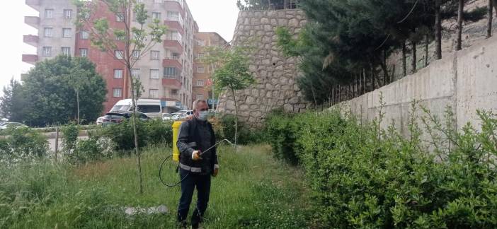 rnak-belediyesinden-haserelere-karsi-ilaclama-3.jpg