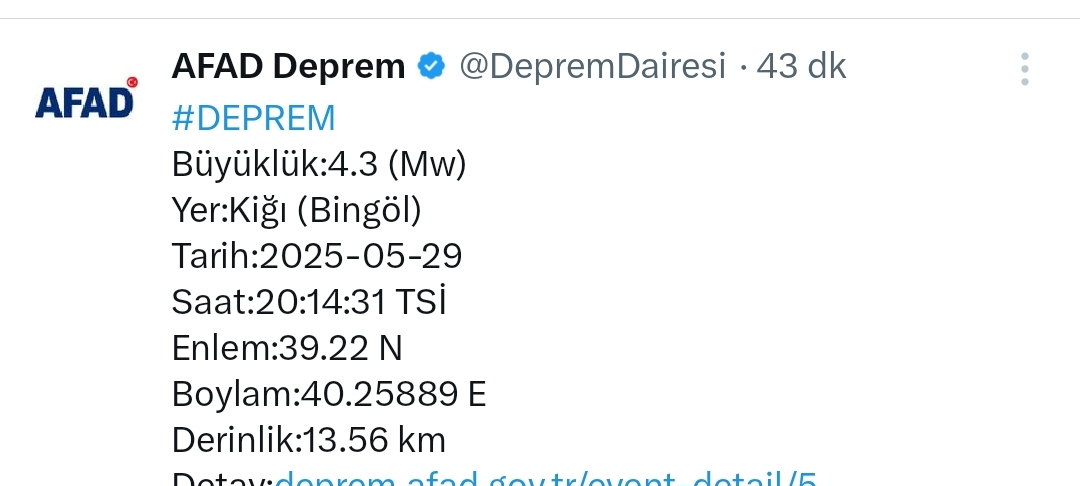 9865222.jpg