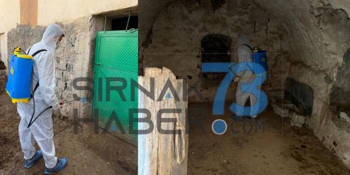 irnak-haber73.jpg
