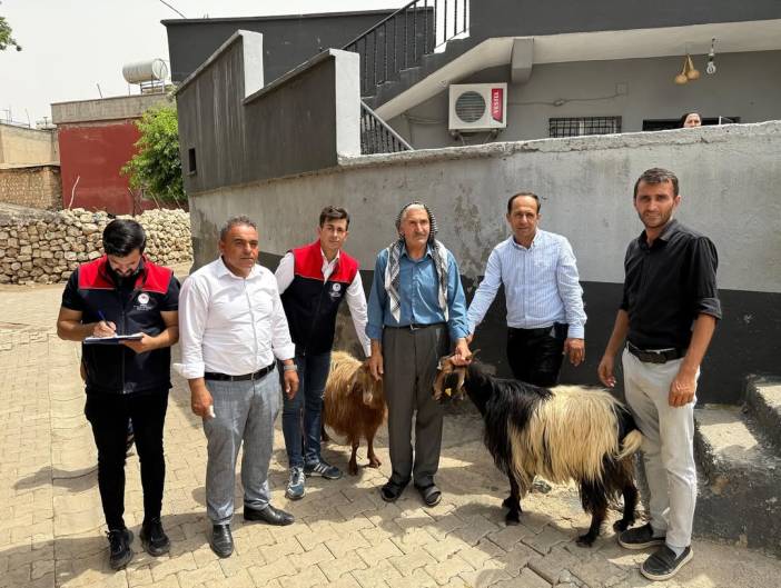 lcemize-bagli-boyuncuk-koyunde-etkili-olan-saganagin-ardindan-meydana-gelen-yildirim-dusmesi-sonucu-kucukbas-hayvanlari-telef-olan-ciftcilerimize-kaymakamimiz-sayin-okkes-furkan-karakurt-tarafinda-3.jpg