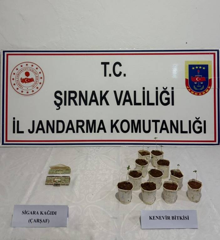 kacak-1.jpg