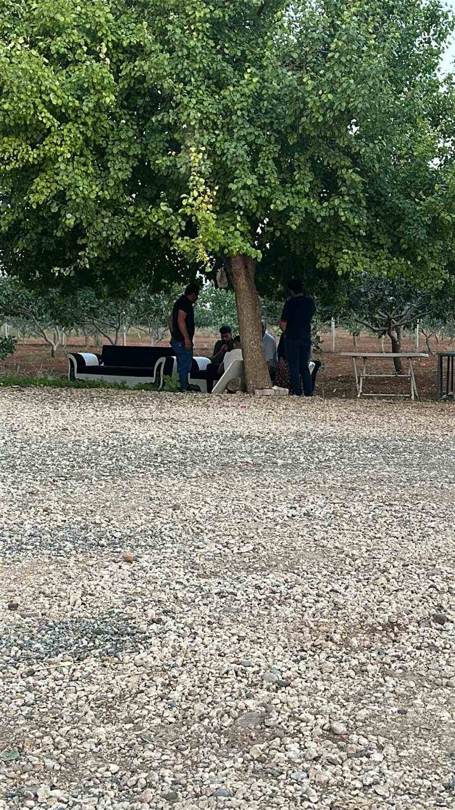 Aile İçi Kavga Cinayetle Son Buldu: Ağabey Ve Baba Gözaltında