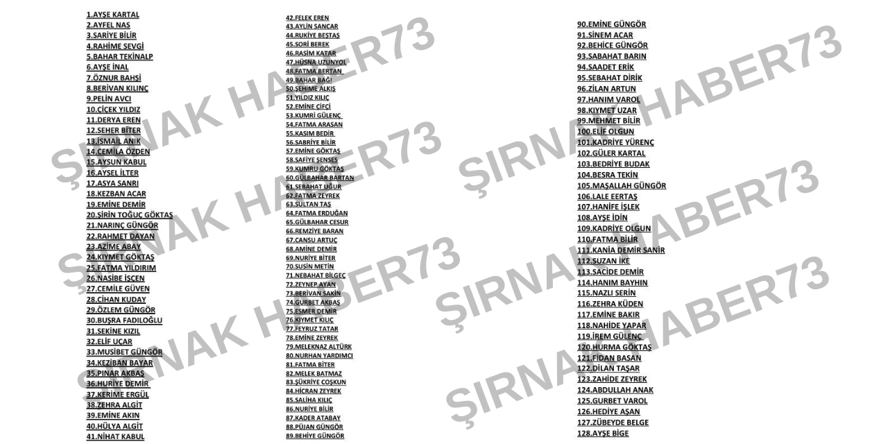 sirnak-haber73.png