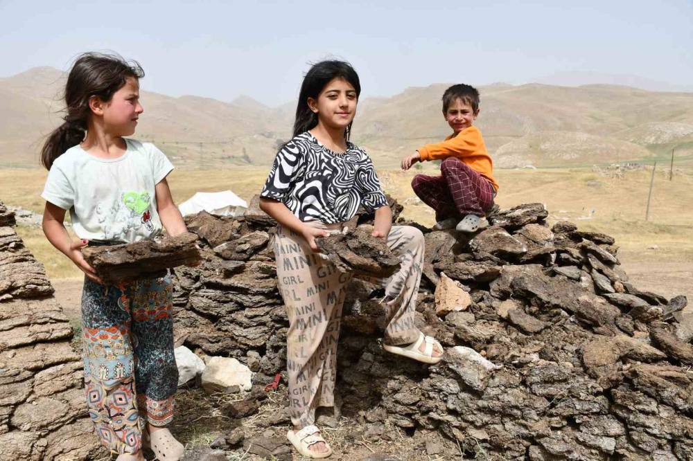Şırnak'ta tezek toplayan çocuklar, kış hazırlığı yapan ailelerine yardım ediyor