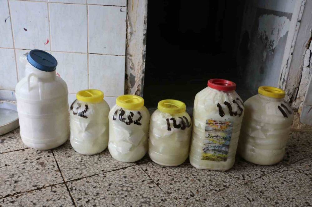 Diyarbakır’da Kışlık Peynir Hazırlıkları Başladı