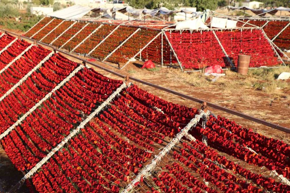 Gaziantep 108 Tescilli Lezzetiyle Coğrafi İşarette Lider