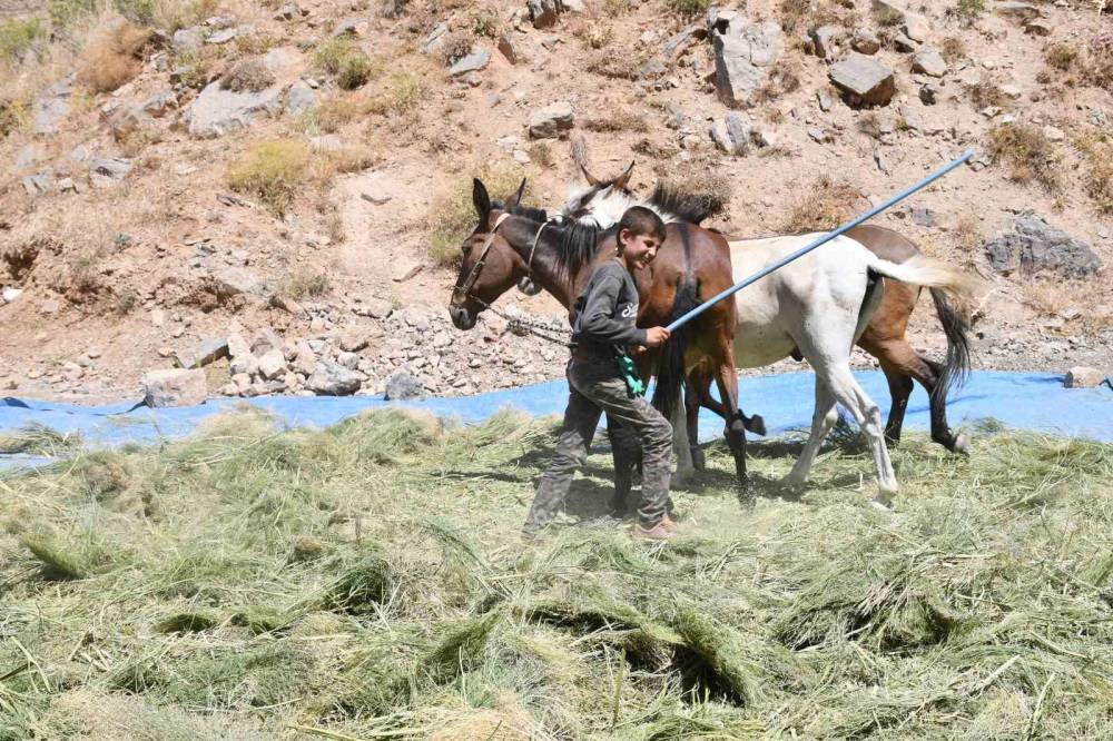 Şırnak'ta Katırlarla Kışa Hazırlık Başladı