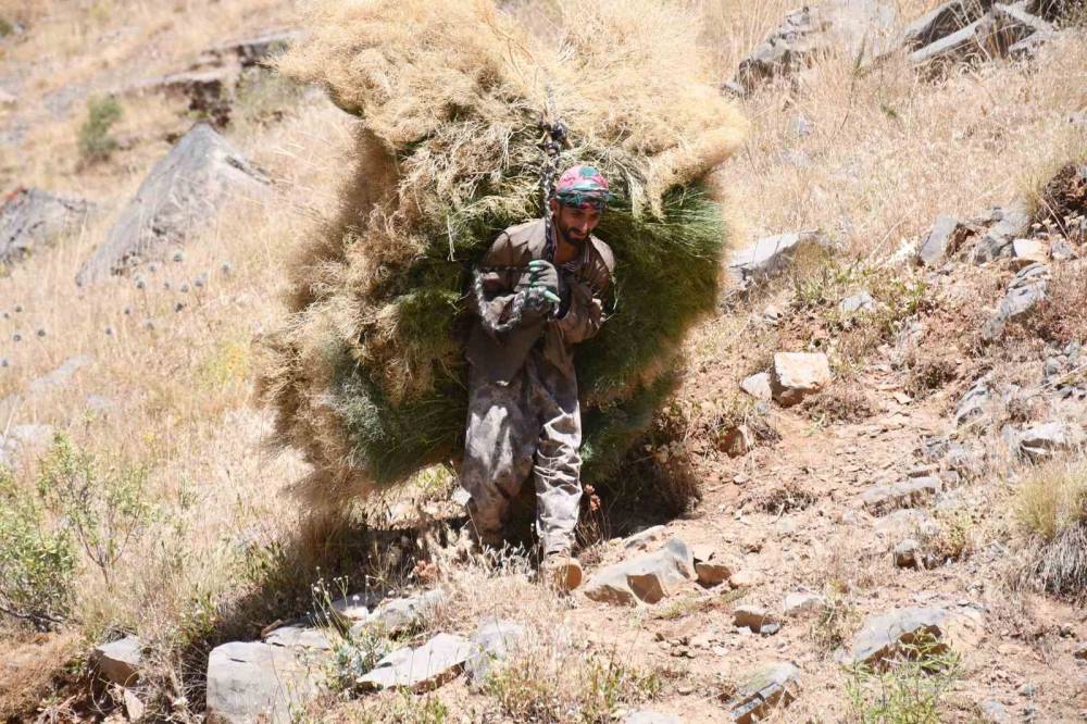 Şırnak'ta Katırlarla Kışa Hazırlık Başladı