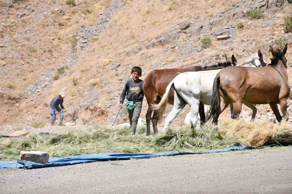 Şırnak'ta Katırlarla Kışa Hazırlık Başladı