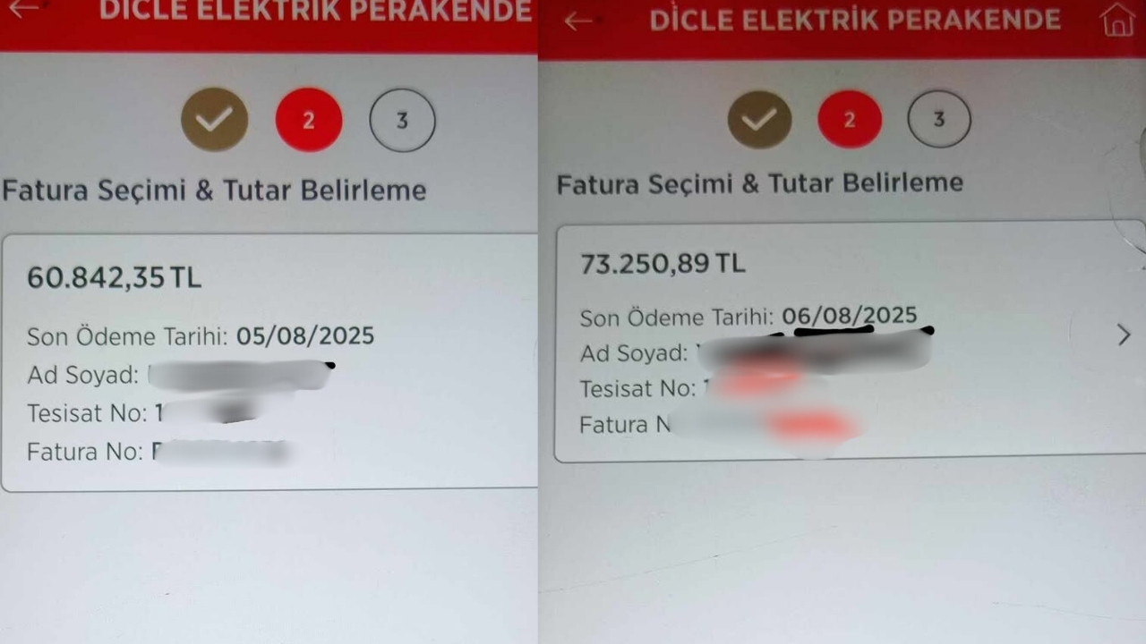 vd.jpg