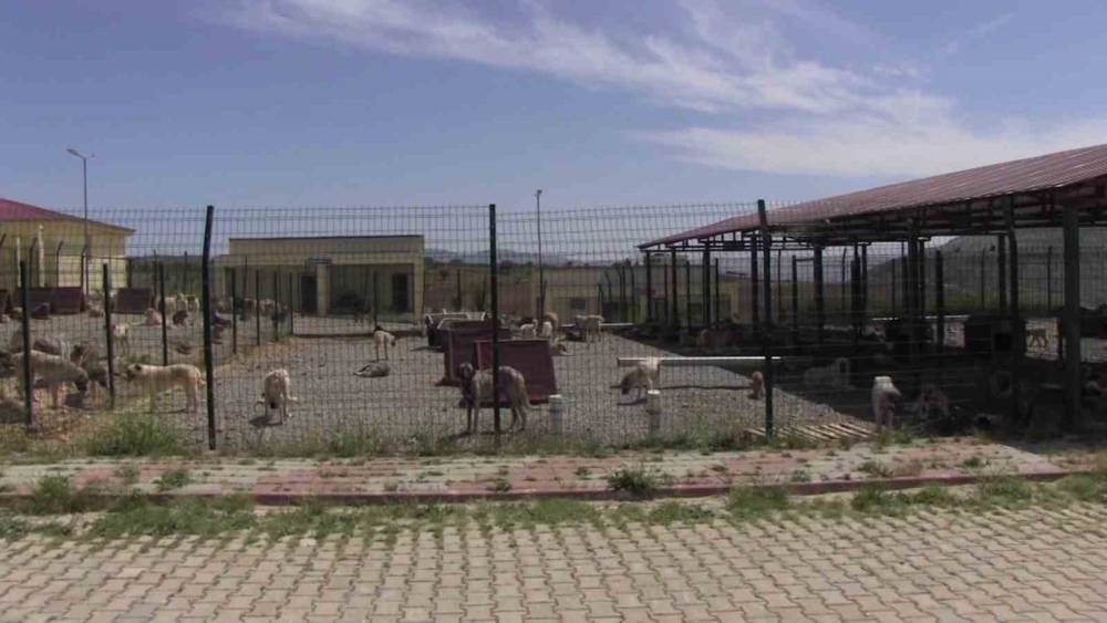 Siirt’ten Türkiye’ye Örnek Olacak Model