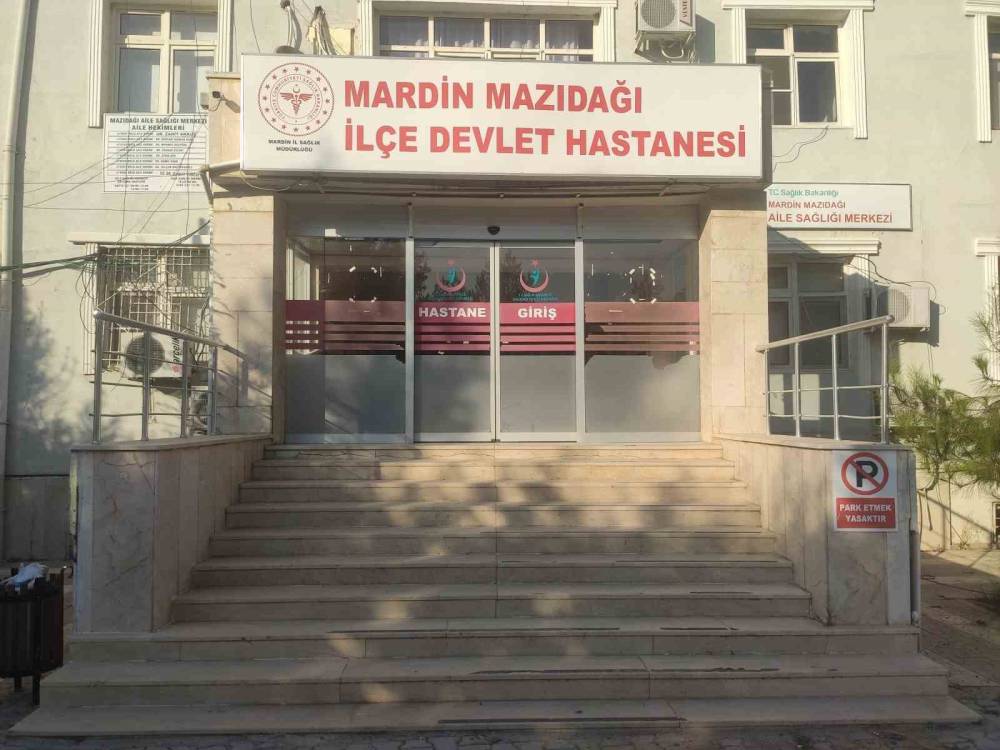Ağaçtan Düşen Muhtar Ağır Yaralandı