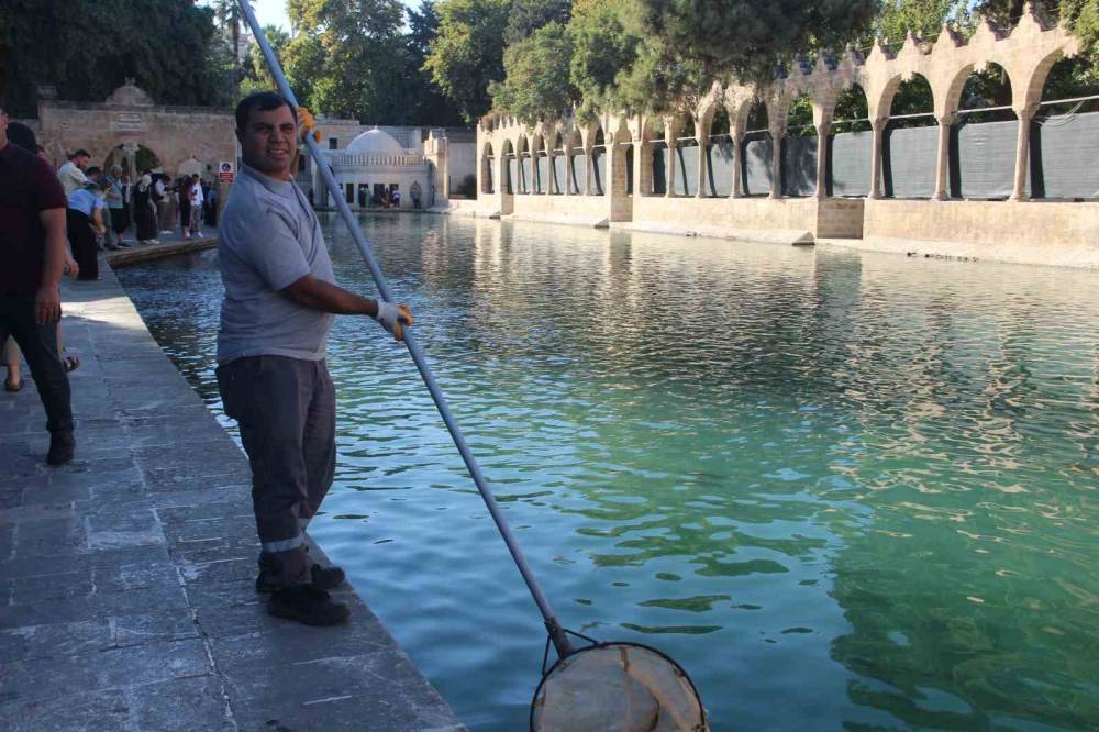 Balıklıgöl’e Düşen Kedi Kalp Masajıyla Hayata Döndü