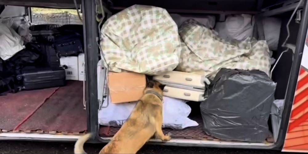 Jandarmadan 34 Milyon Liralık Uyuşturucu Darbesi
