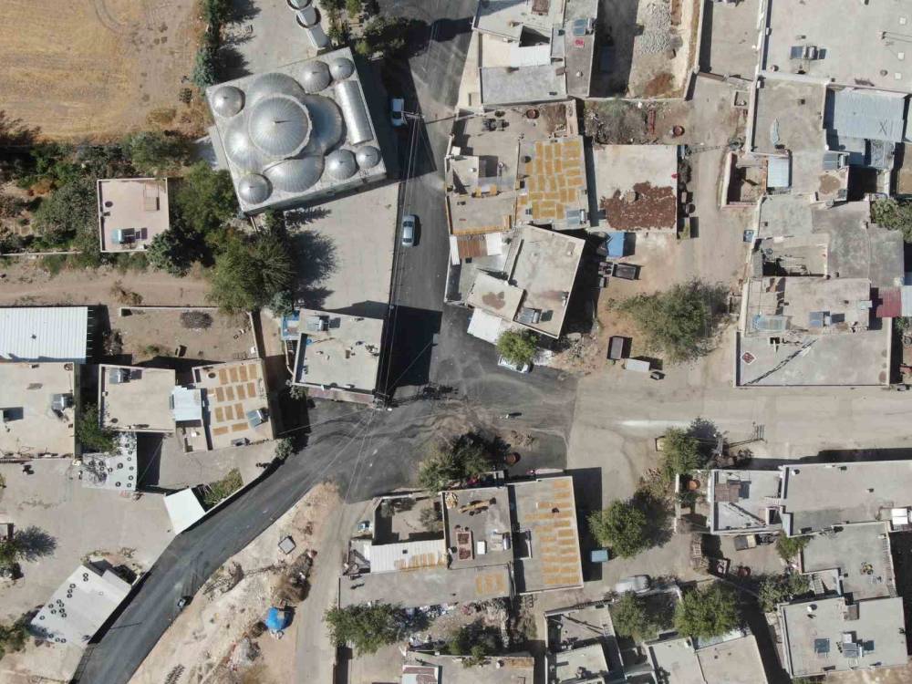Gaziantep’te Kadınların Üzüm Pekmezli Pestil Mesaisi Başladı