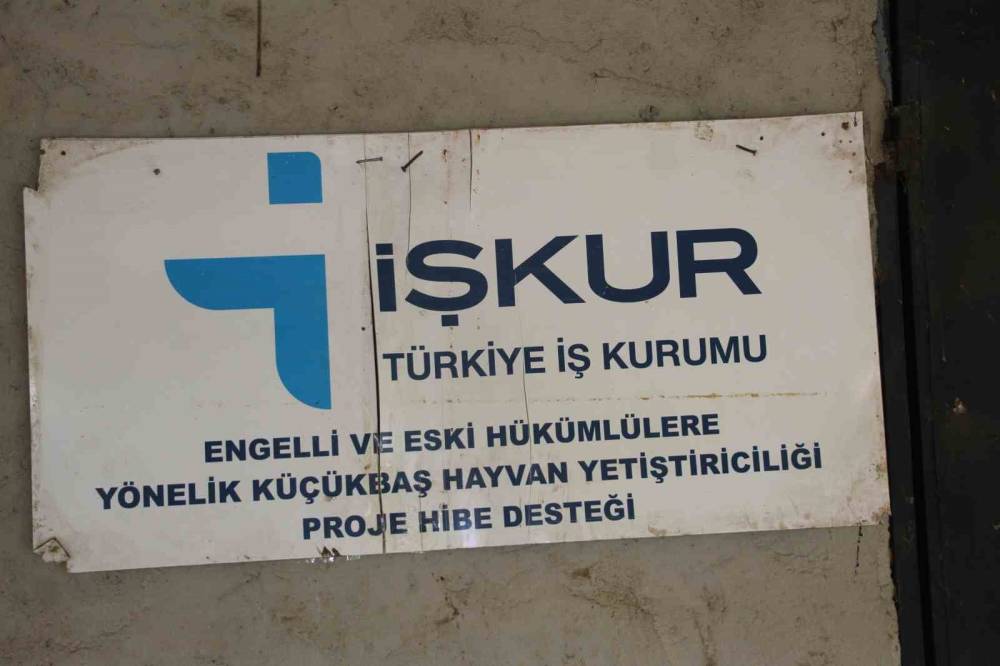 Şırnak'ta Eski Hükümlü 45 Keçi ile Başladı Sürü Sahibi Oldu