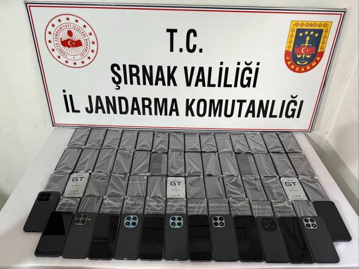1-1.jpg