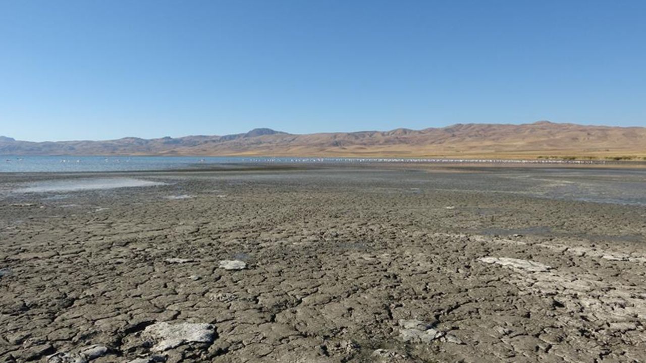 0736363292-001.jpg