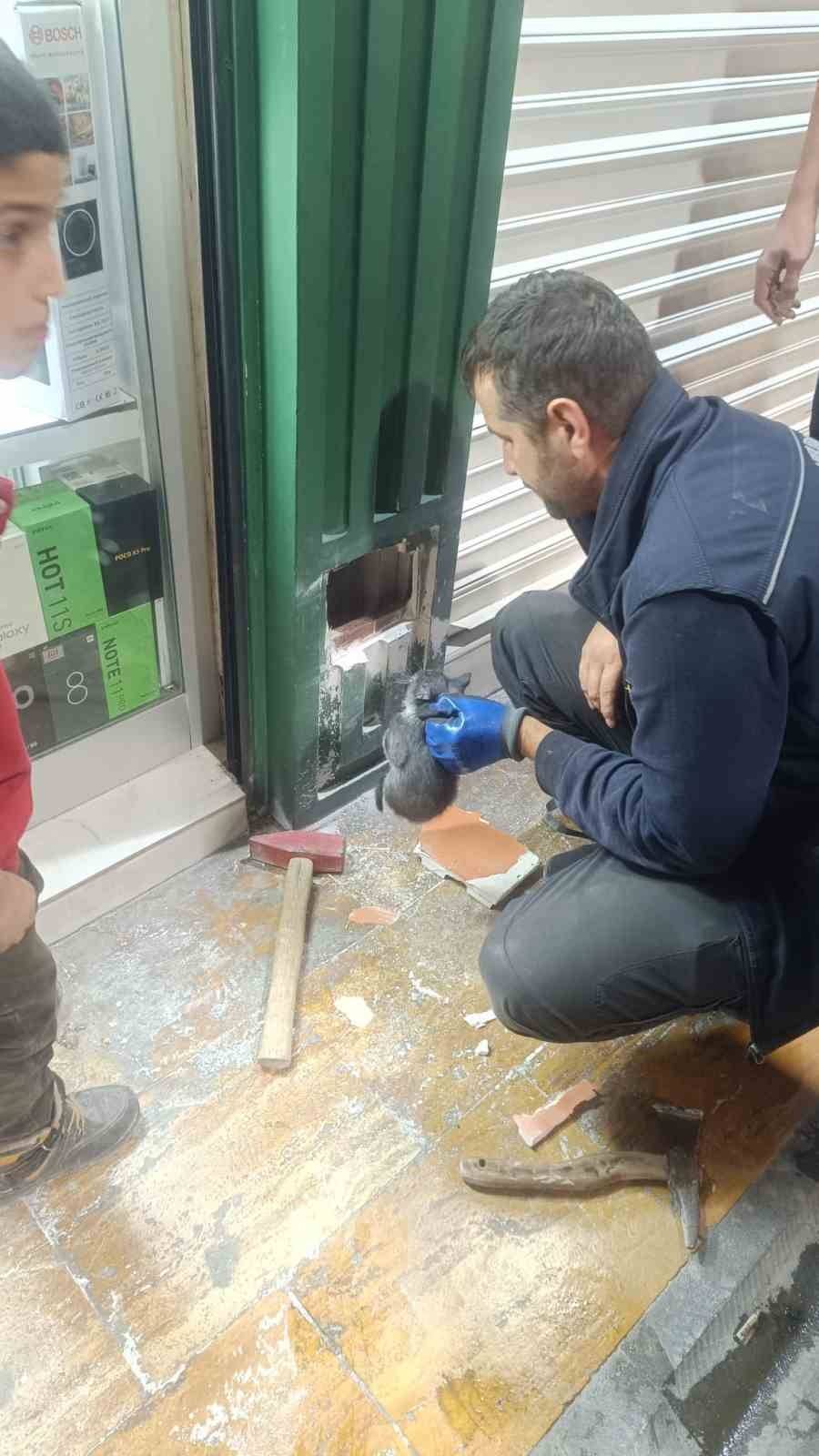 Kolon Boşluğuna Düşen 2 Yavru Kedi, İtfaiye Ekipleri Tarafından Kurtarıldı