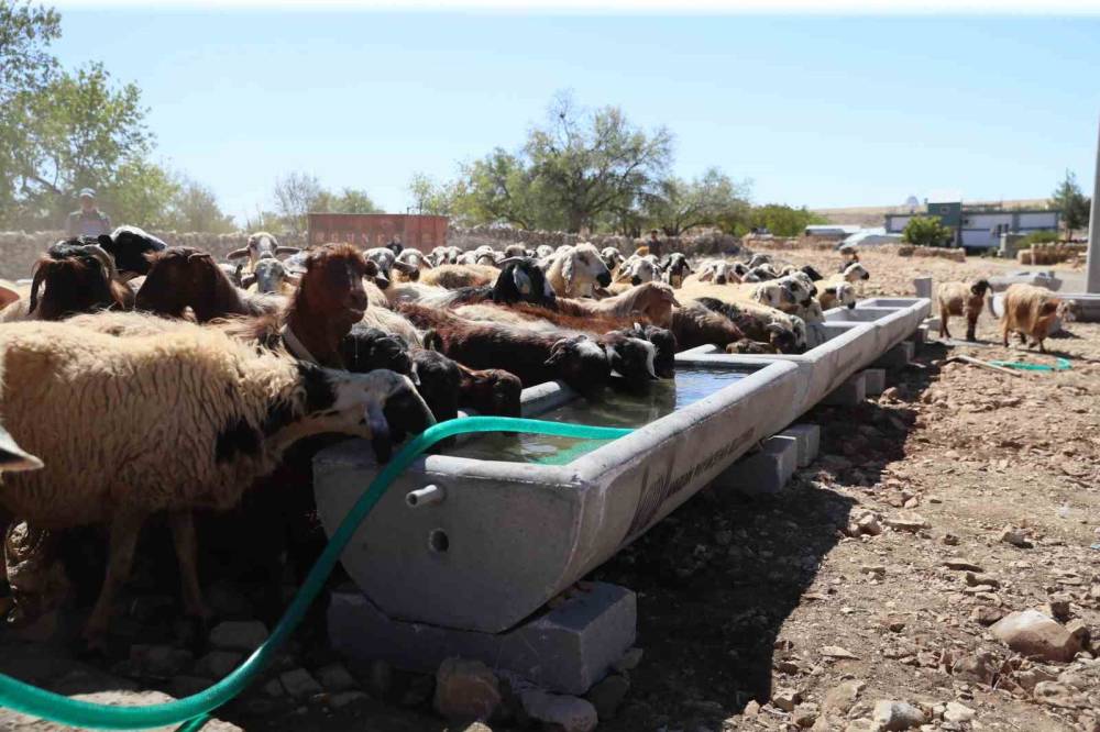 Mardin Büyükşehir Belediyesi 5 İlçede 330 Adet Sıvat Dağıttı