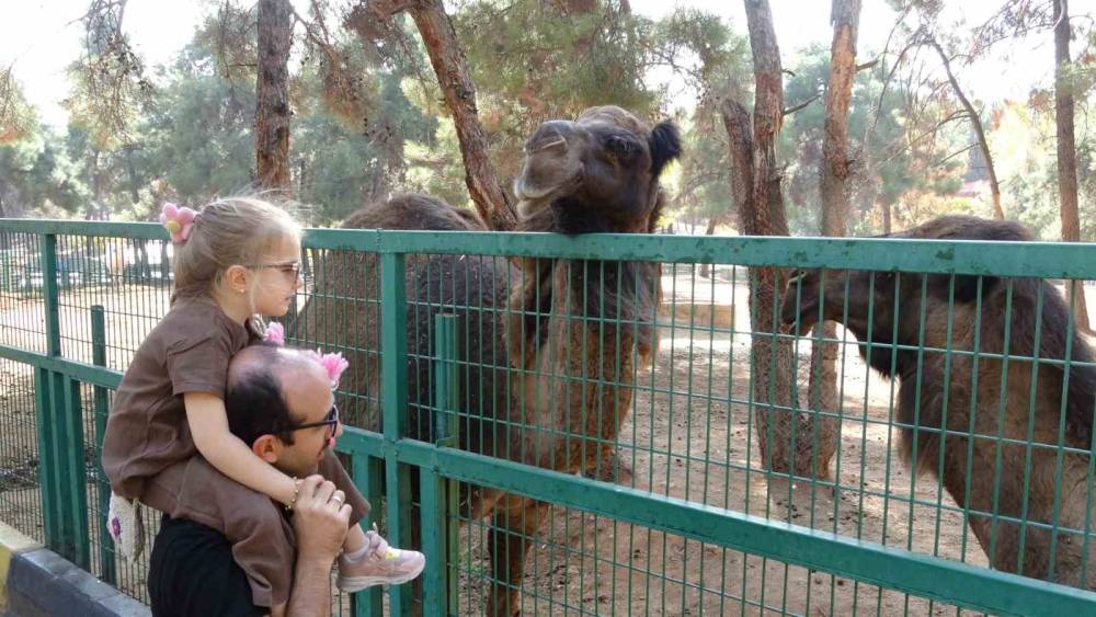 Ara Tatile Çıkan Öğrenciler Soluğu Hayvanat Bahçesinde Aldı