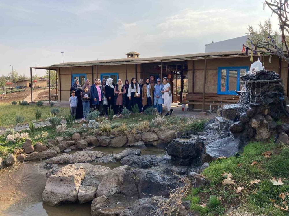 Kadınlar Tıbbi Ve Aromatik Bitkileri Yerinde Tanıyor