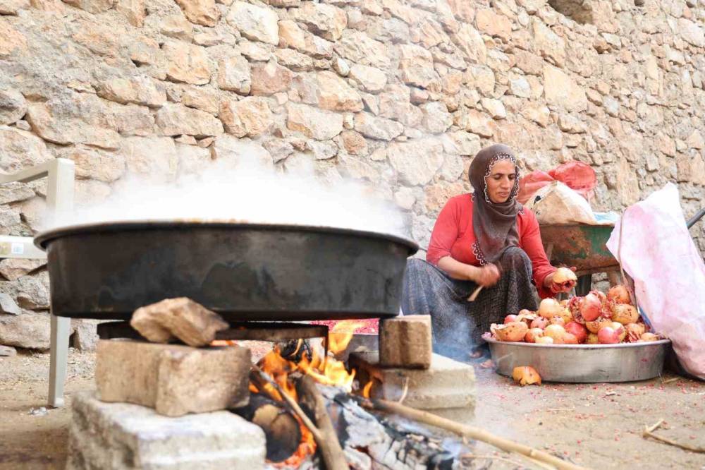 Diyarbakır'da Bu Köy Karadeniz ve Akdeniz İklimini Yaşıyor: Portakal, Fındık ve Limon Yetiştiriliyor